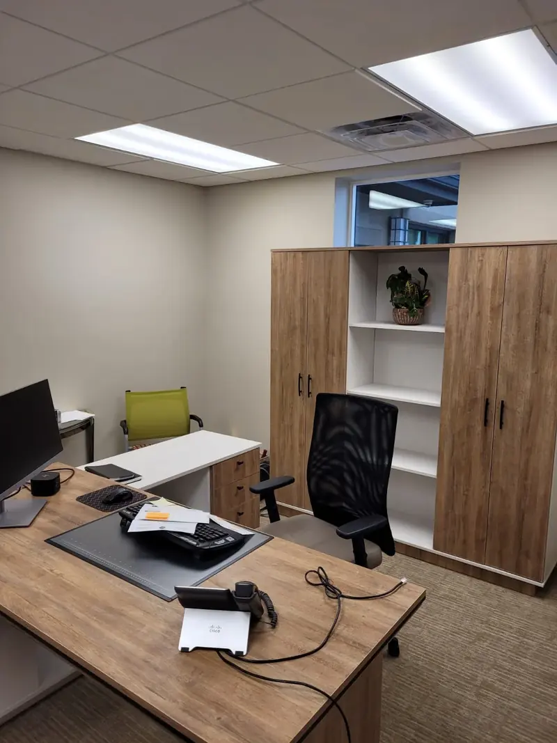 Custom wood desk and tall storage cabinet in a private office